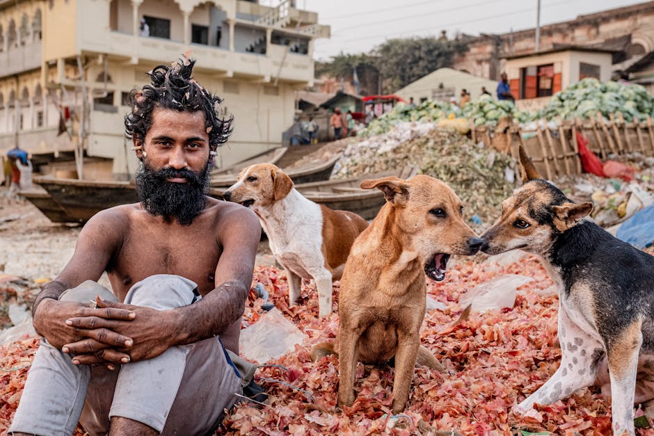 流動收款機的重要性與應用分析