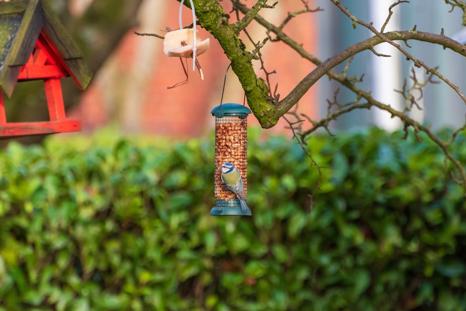 探索可持續發展地標香港：綠色轉型的大冒險